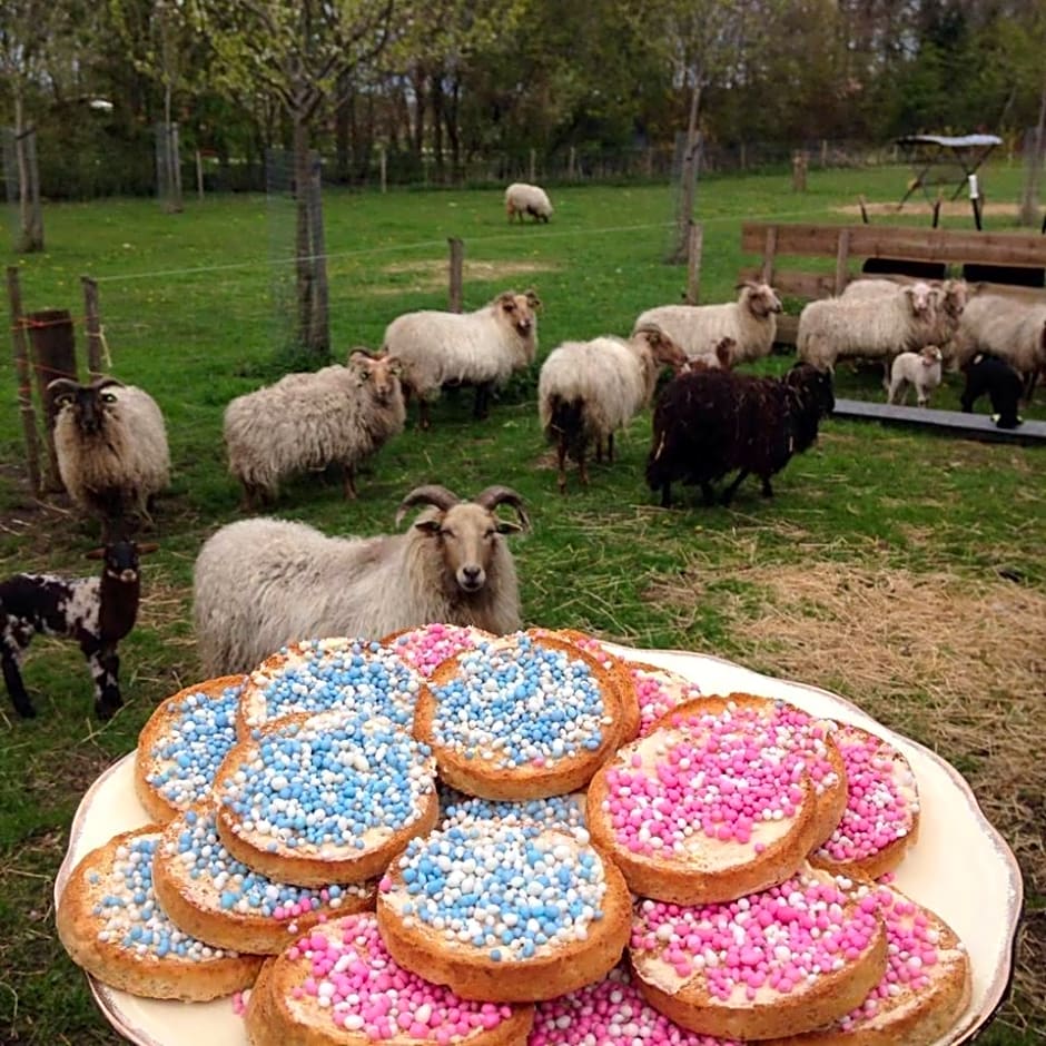 Boerderijkamer Korenbloem