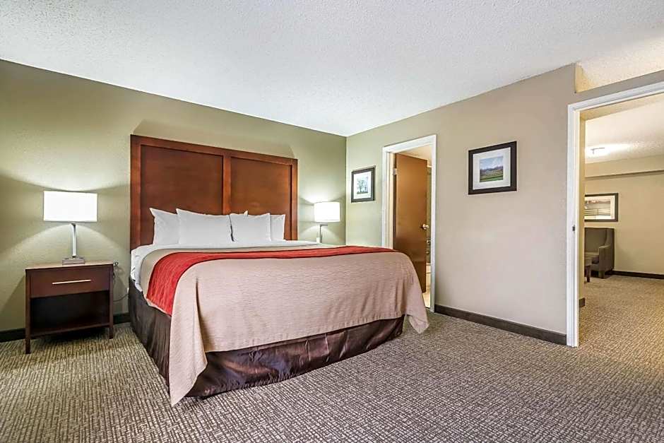 Comfort Inn & Suites Lexington