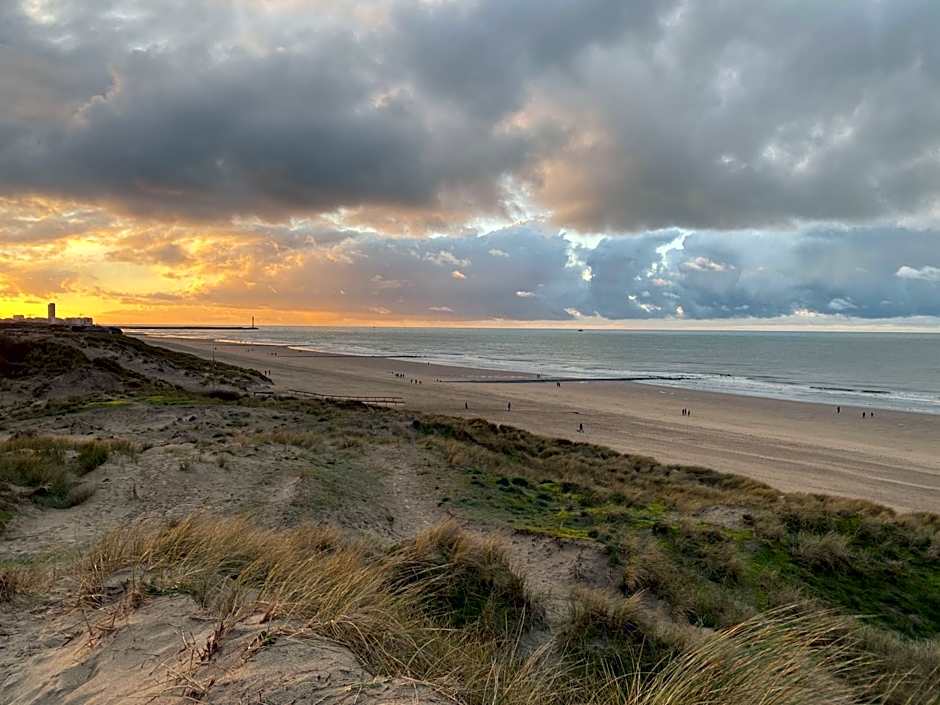 LOGIES-M Comfort Studios Inc Bikes B&B