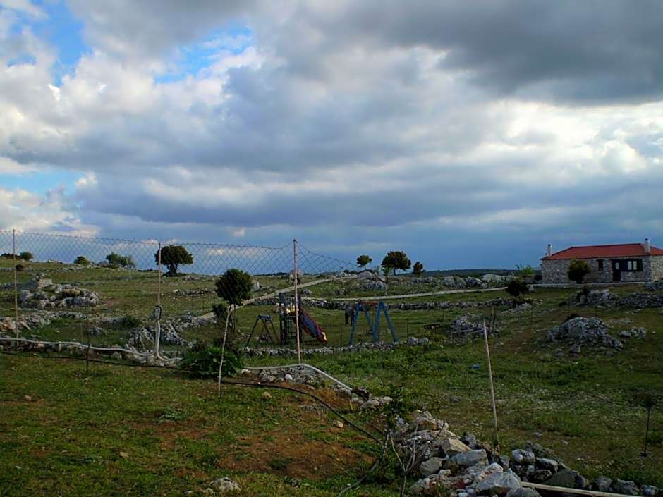 Arachovitika Kalivia