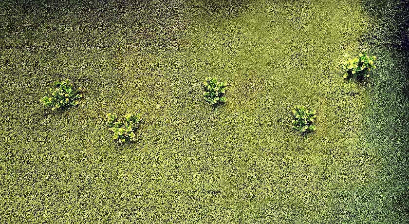 The Lively Hotel Kualanamu Airport Medan