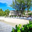 Bougainvillea Barbados