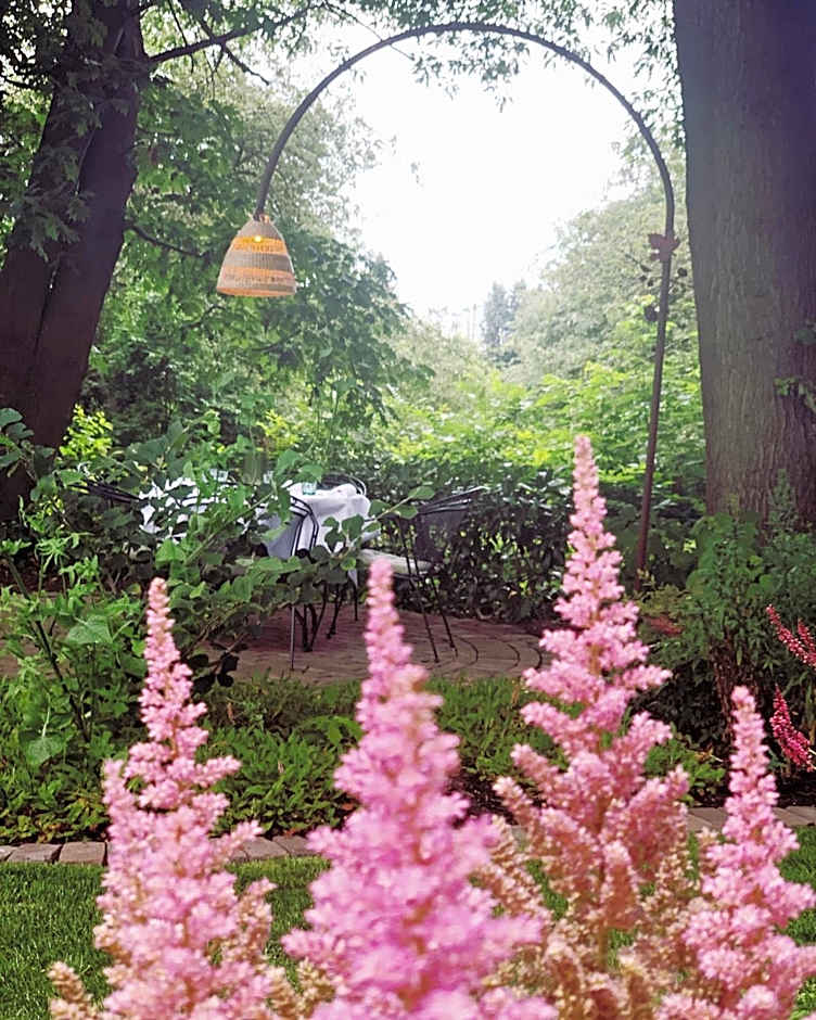 Hotel Au Nom De Dieu