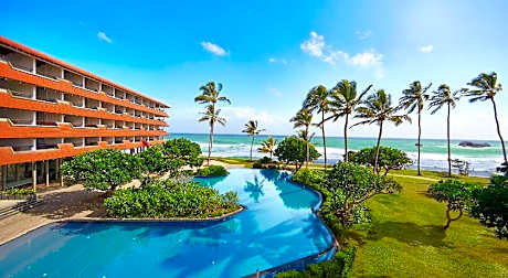 Hikka Tranz By Cinnamon