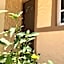 Estudios Rehilete