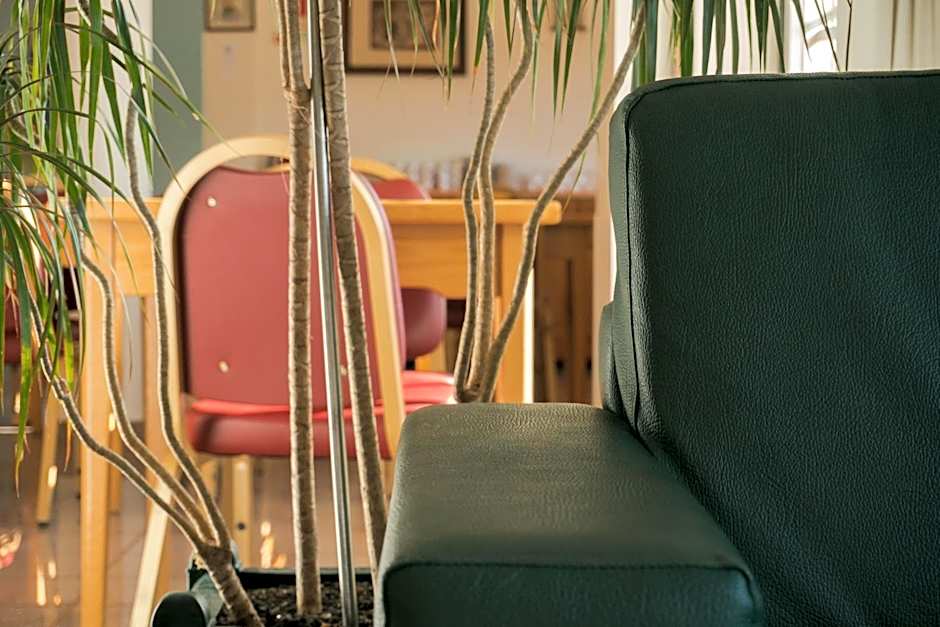 Hotel Estrela Da Idanha