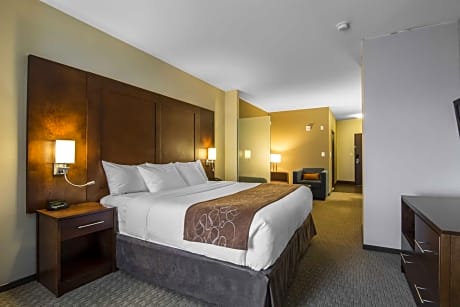 1 King Bed Suite Nonsmoking