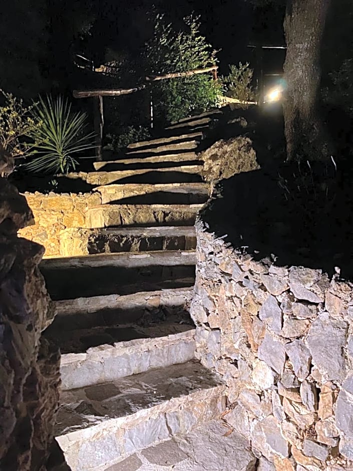 Maison Du Reve Scario