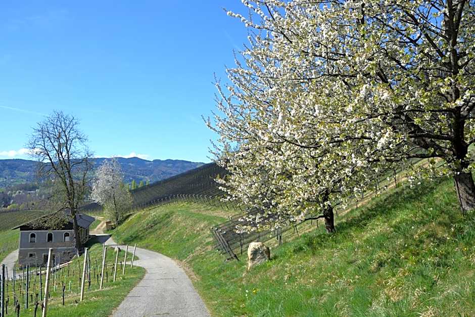 Mahorko Wein Wellness Wasserbüffel