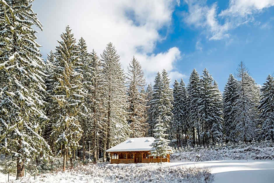 Teleferic Grand Hotel