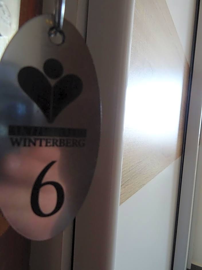Aktiv Hotel Winterberg