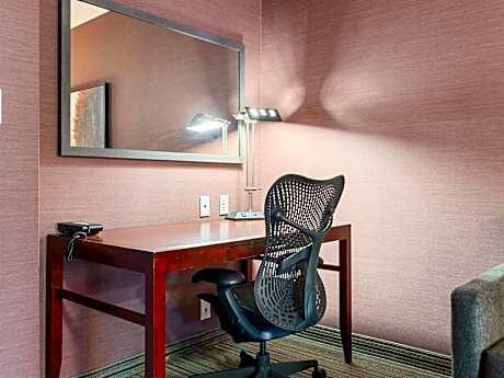 Junior King Suite with Sofa Bed