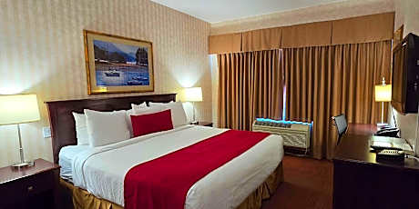 1 King Bed Non-Smoking Refrigerator Wi-Fi Continental Breakfast