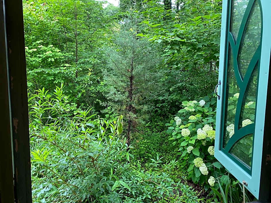 Garden Shed R