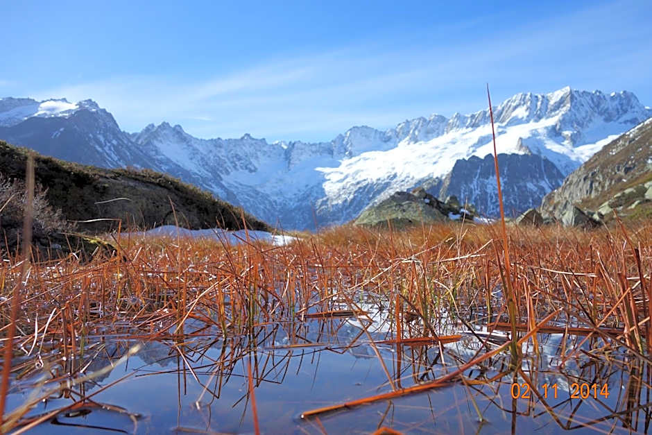 Gasthaus Göscheneralp