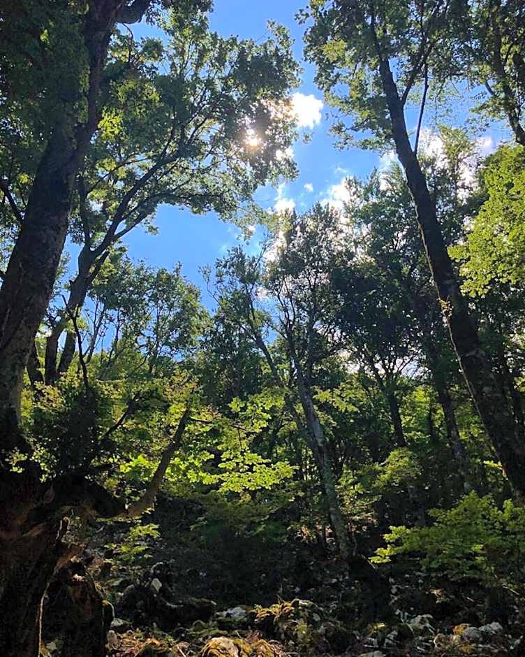 HOTEL HOLIDAYS a Barrea - Natura, Relax e Benessere nel Parco d'Abruzzo