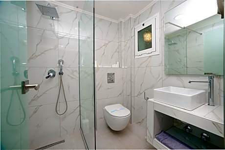 Budget Double Mountain View