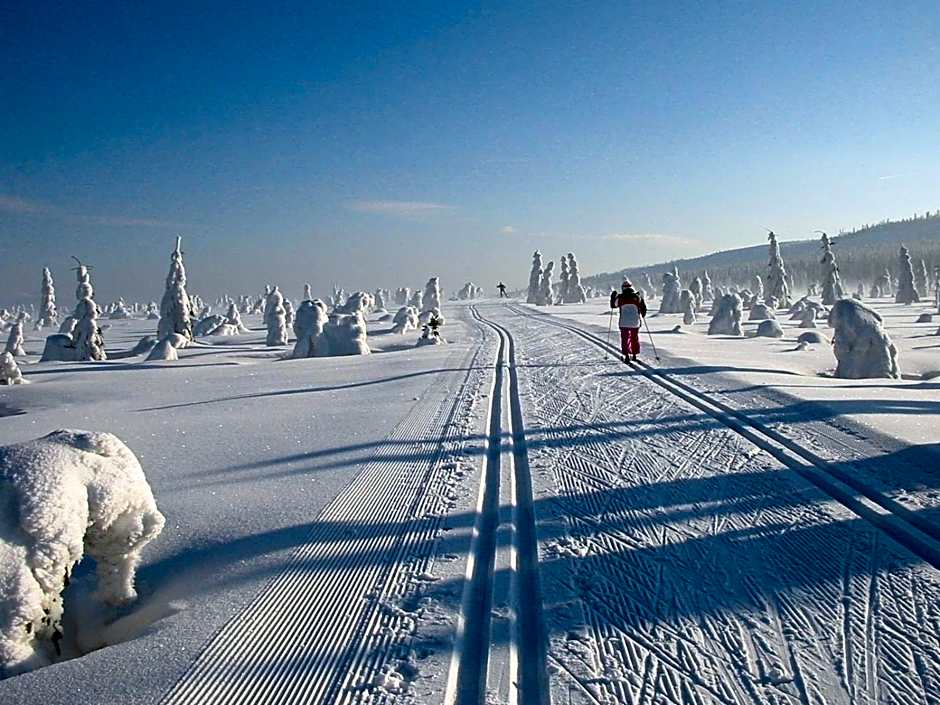 Apartmány hotelu Ostrý