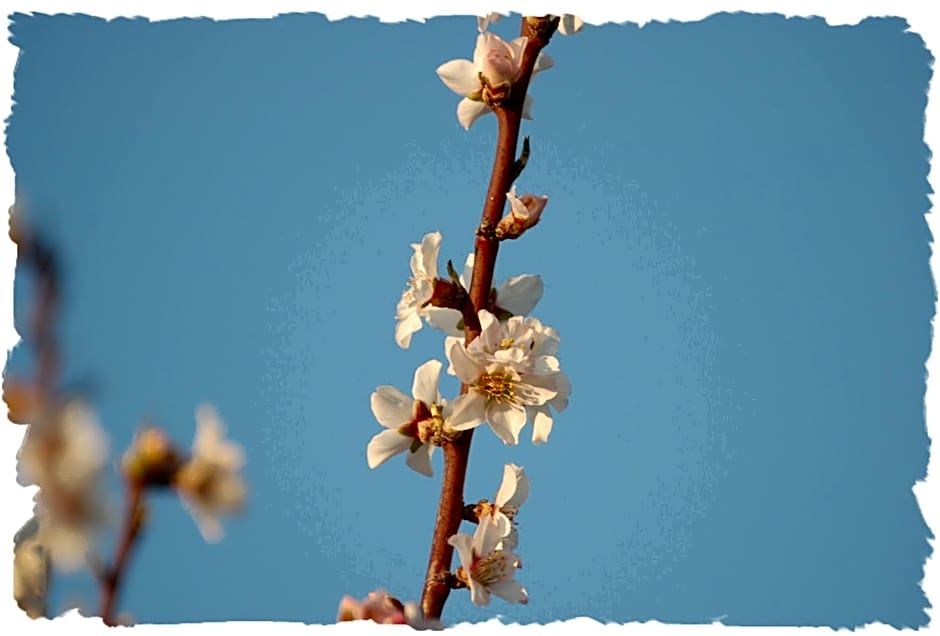 Tonel Apartamentos Turisticos