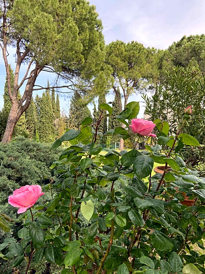 B&B Castello Machiavelli