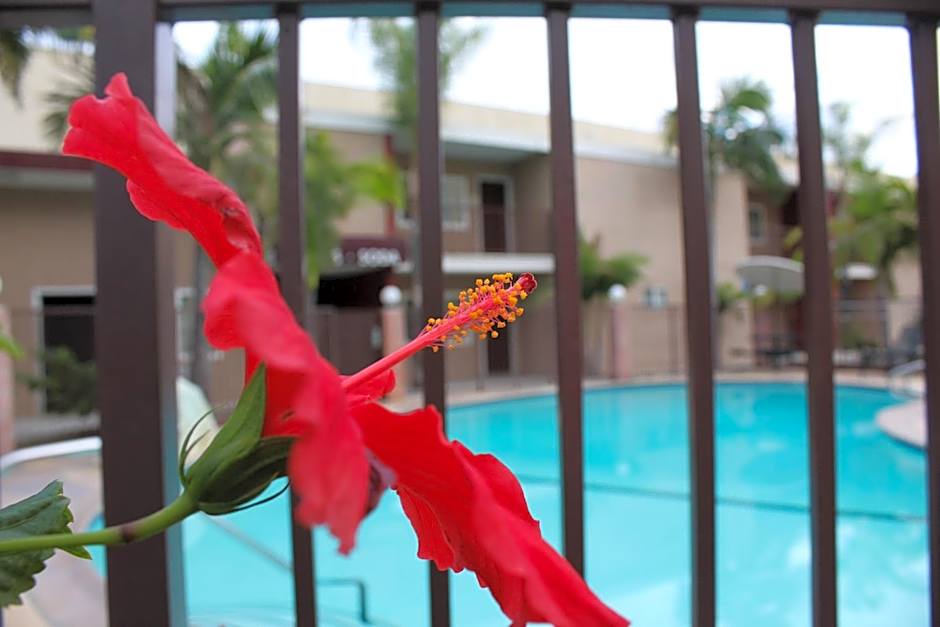 Budget Inn Anaheim near Disneyland Drive