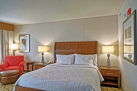 Premium King Room