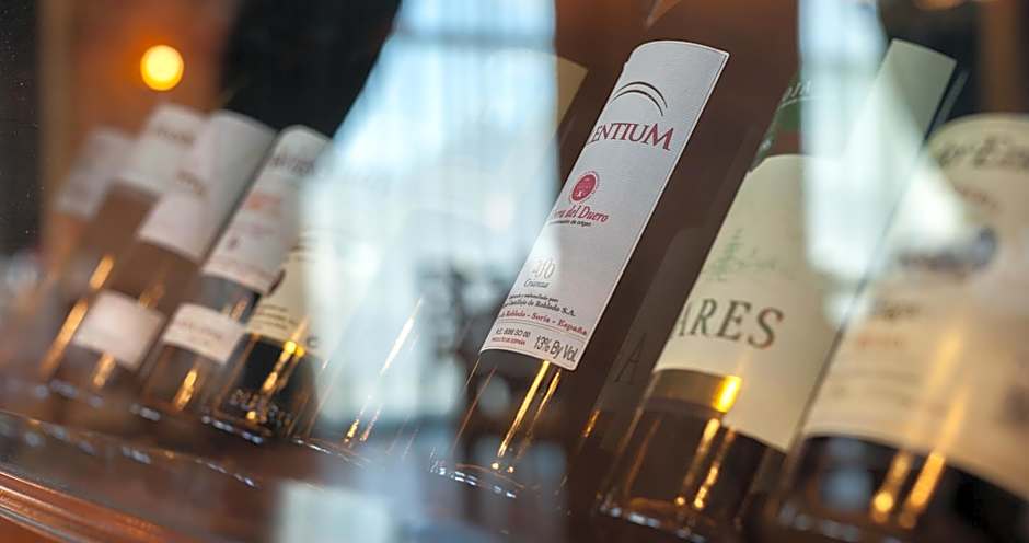 Hotel Villa De Almazan