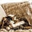 Glencoe Country Bed and Breakfast