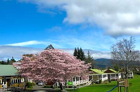 Turangi Bridge Motel