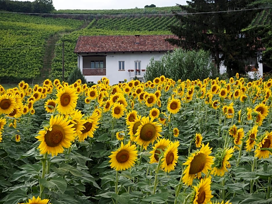 Casa del Roseto
