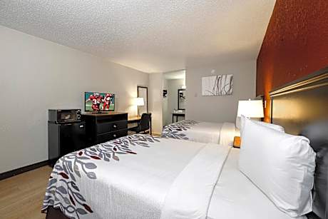 Deluxe Double Room with Two Double Beds - Non-Smoking