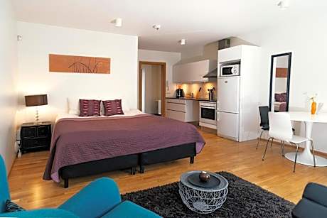 Studio Apartment - Bergstadastræti 12