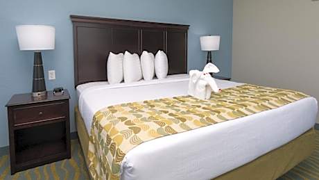 King Room - City and Harbor View