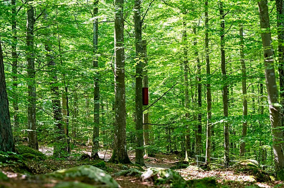 Halens Camping och Stugby