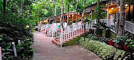 Ratapani Jungle Lodge