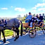 L'Herbe aux Vaches