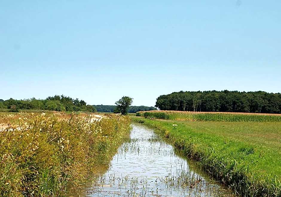 B&B Zandhuizen
