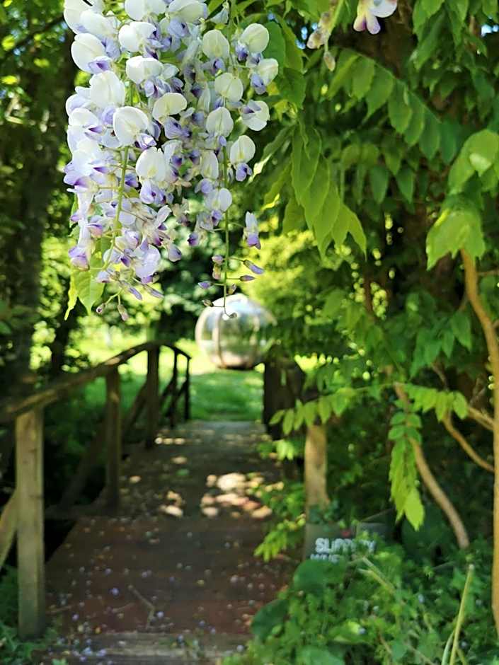 Rose in Vale Country House Hotel