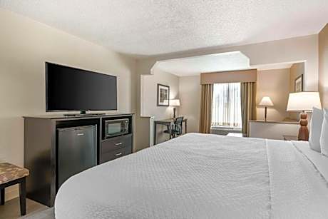 King Suite with Sofa Bed - Non-Smoking