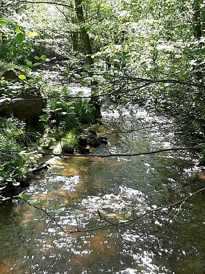 Chateau Sourliavoux, appartement en chambres d'hôtes