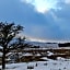 The Garsdale Bed & Breakfast - Goats and Oats at Garsdale