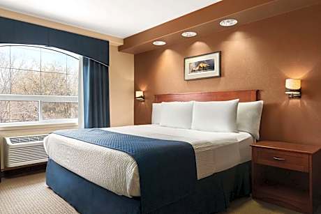 Deluxe Junior King Suite - Non-Smoking