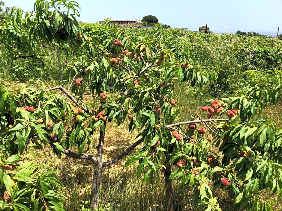 Agriturismo Donna Germana