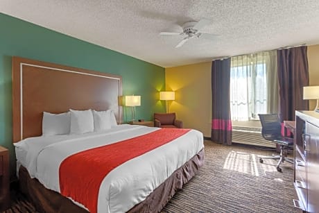 Queen Room - Disability Access/Non Smoking