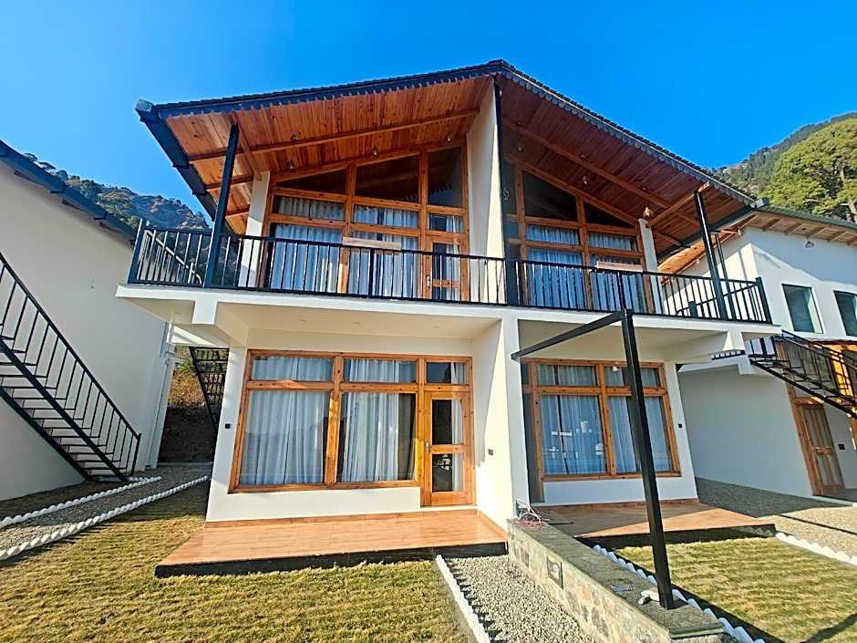 Silver fern by the Hillside