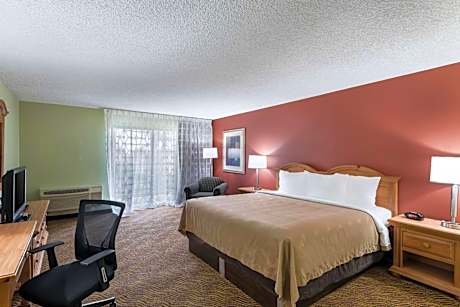 Standard King Room with Work Area and Patio - Non-Smoking