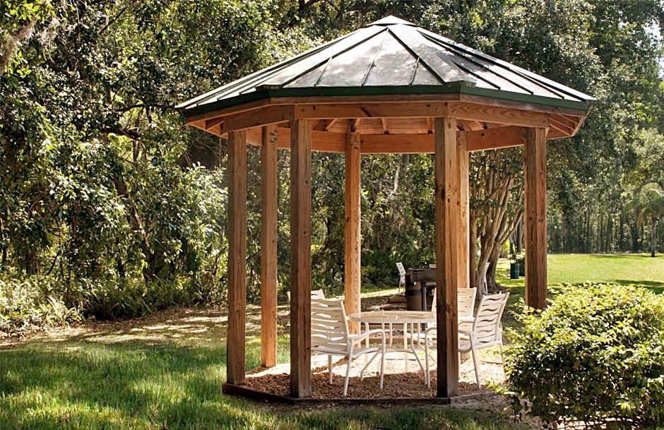 Hampton Inn By Hilton And Suites Tampa-North