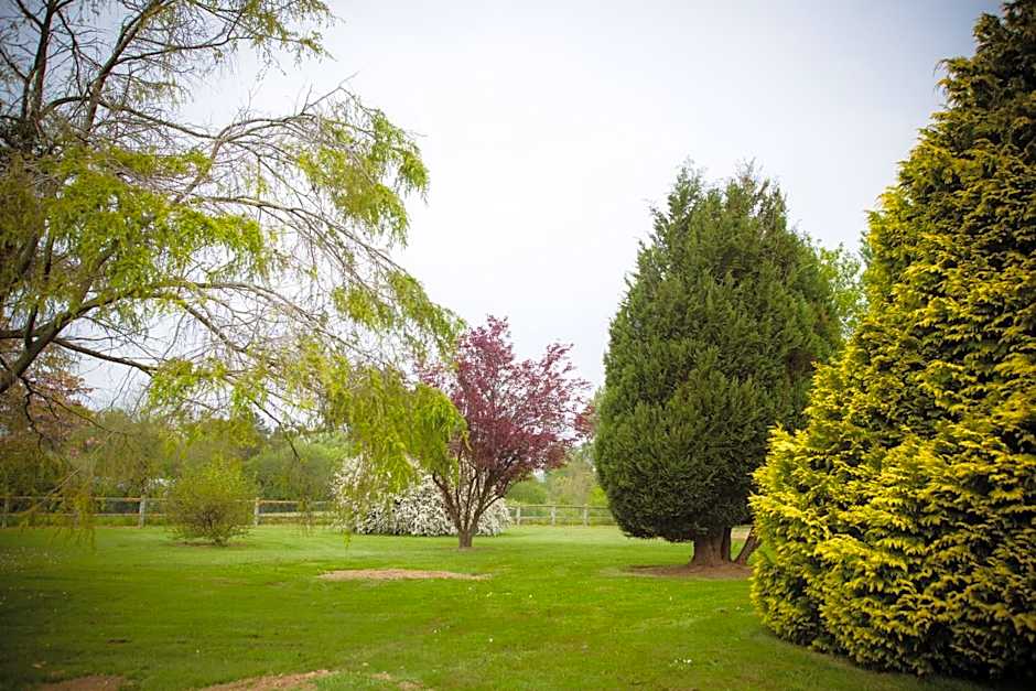 Logis Le Sainte Mere