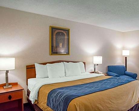 1 King Bed, Nonsmoking