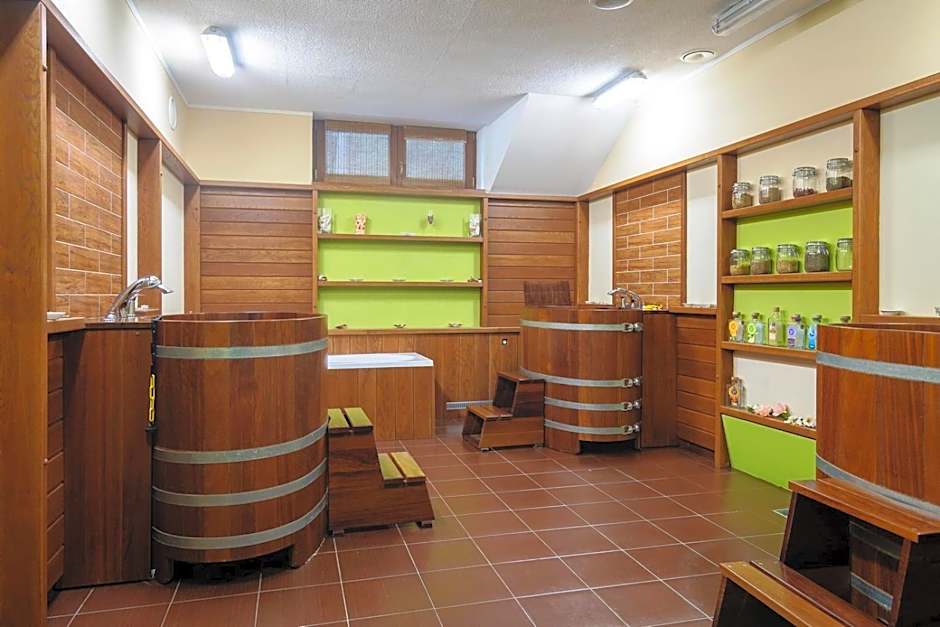 Wellness Hotel pod Kyčmolem